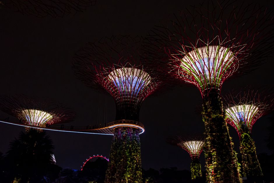 Singapore — photo 2